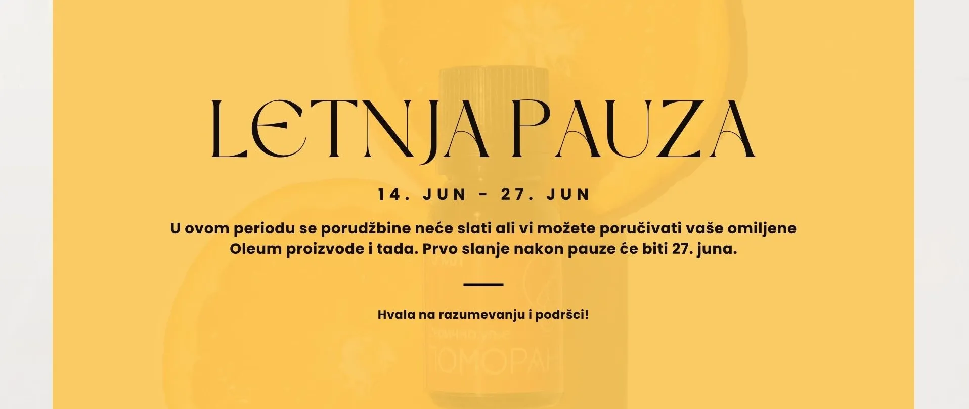 Letnja pauza